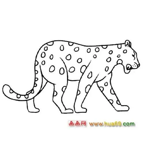 凶猛豹子简笔画视频