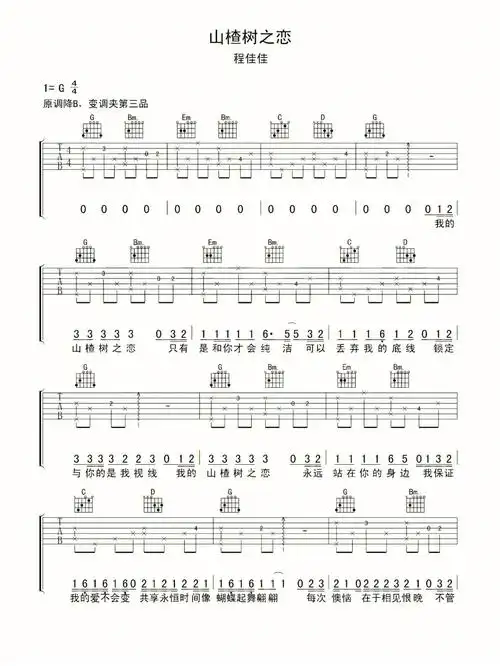 山楂树之恋吉他谱