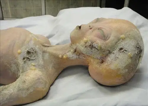 外星人究竟长什么样?