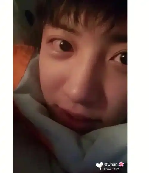 朴灿烈一些些很爱的鱼鱼