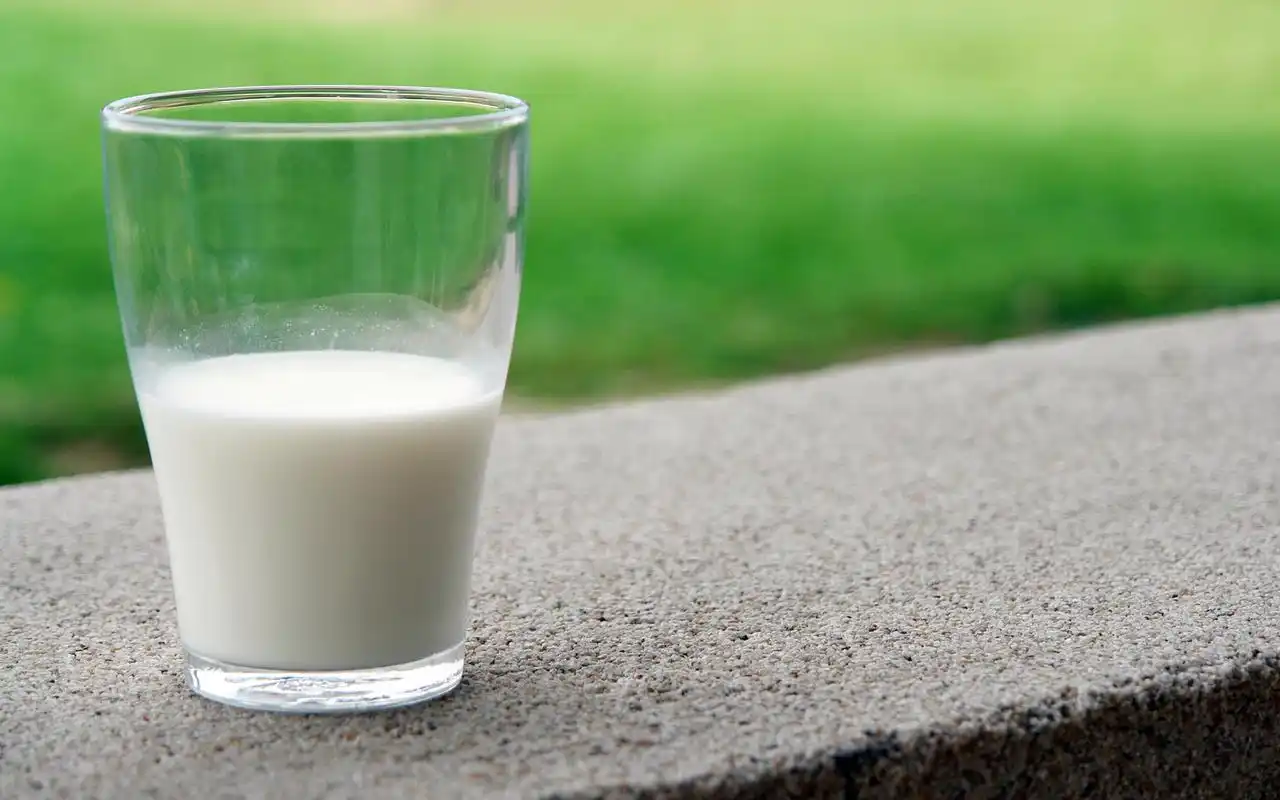 牛奶主题创意高清桌面壁纸图片