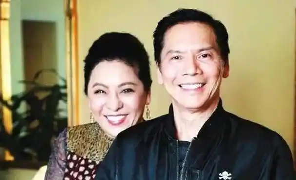 向太陈岚霸气:"我是向华强的女人"_丈夫_李连杰_丁佩