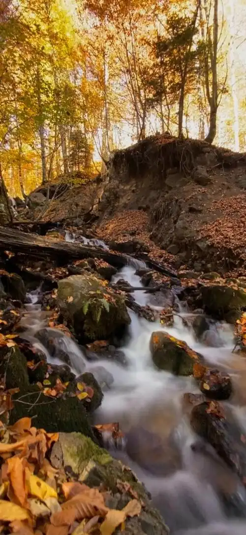 风景壁纸,一幅幅让人陶醉的美丽风景,令人心旷神怡