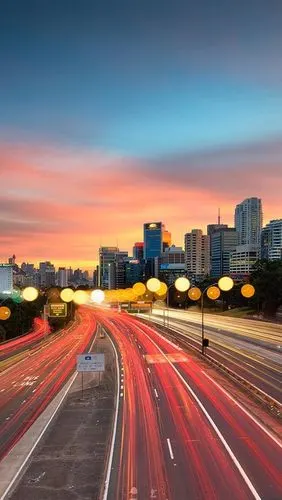 悉尼,路,灯,日落,黄昏,城市