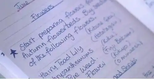 有谁有美国人手写的那种字体的图片?