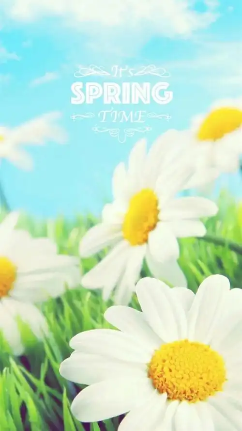 简约小清新文字控,高清图片,手机锁屏桌面-壁纸族