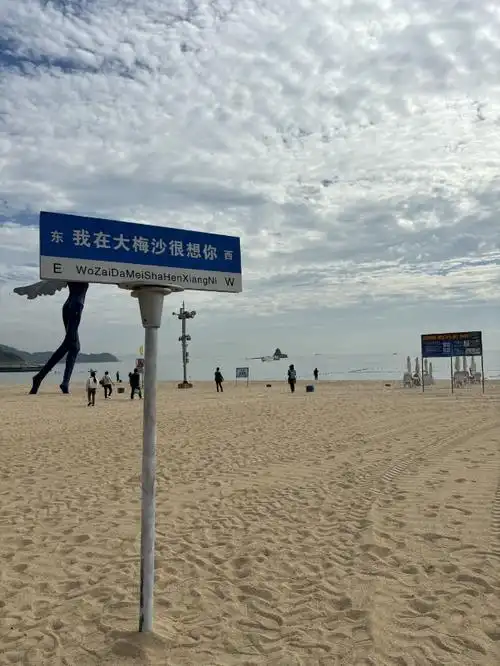 刚刚正式开通直达大小梅沙深网记者实拍