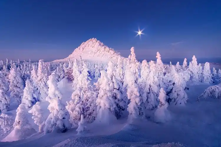 2021最美国家业余摄影师镜头下的俄罗斯