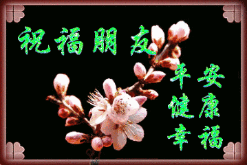 祝福gif朋友gif平安gif健康gif幸福gif闪动gif梅花gif