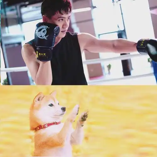 腹肌能力者,好身材圈粉无数,徐静蕾力捧新男主朱致灵我pick了!