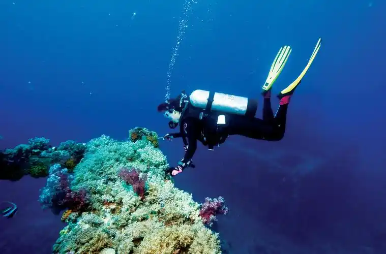 去垦丁体验水肺潜水