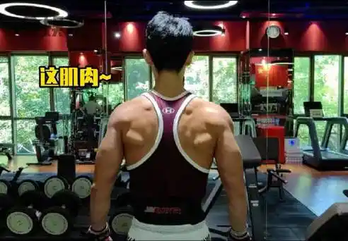 魏晨背部肌肉线条好绝