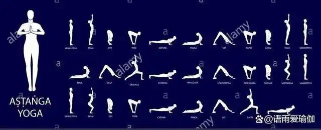 拜日式是瑜伽中练习最多的12个体式.