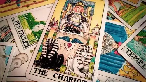 塔罗学堂|牌意解读7 战车 the chariot