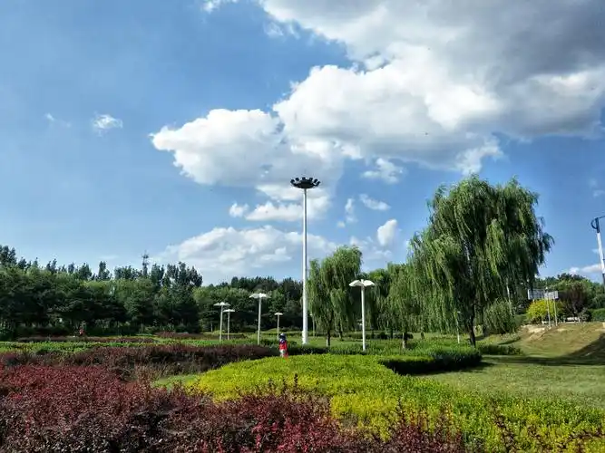 夏末初秋身边美景手机随拍