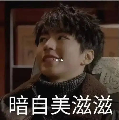 王俊凯表情包29