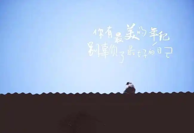 二十几岁多给自己几次从头再来的勇气78