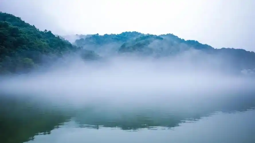 雨后的婺源"仙气飘飘",这个景区宛若"天空之城"!