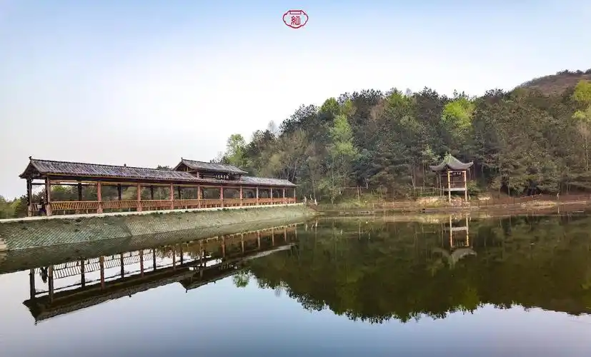 高级黄陂山坳里有个五星级农家乐佳肴美味容易让人不思进取