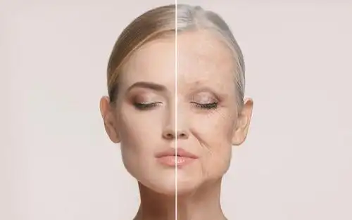 衰老和年轻对比