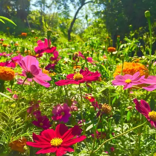 在路上,会遇到更多美丽的事情和风景 - 美篇
