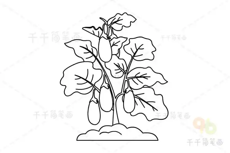 紫色长茄子简笔画