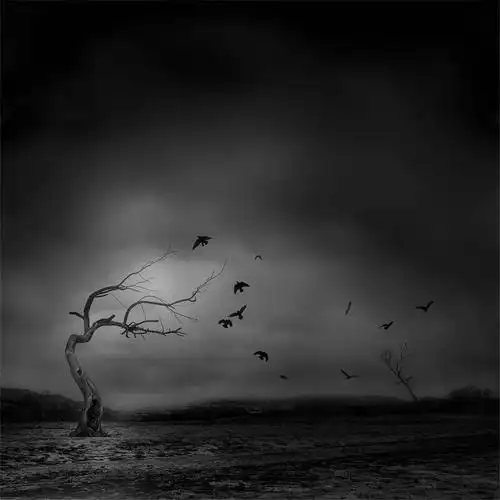 知是行之始为意境而拍访写意摄影师费晓阳