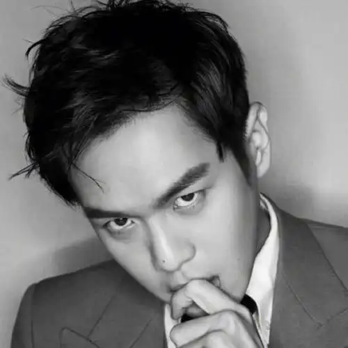 就觉得大陆男艺人张若昀很帅