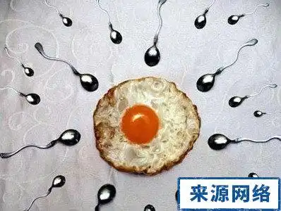 男性的x精子和y精子