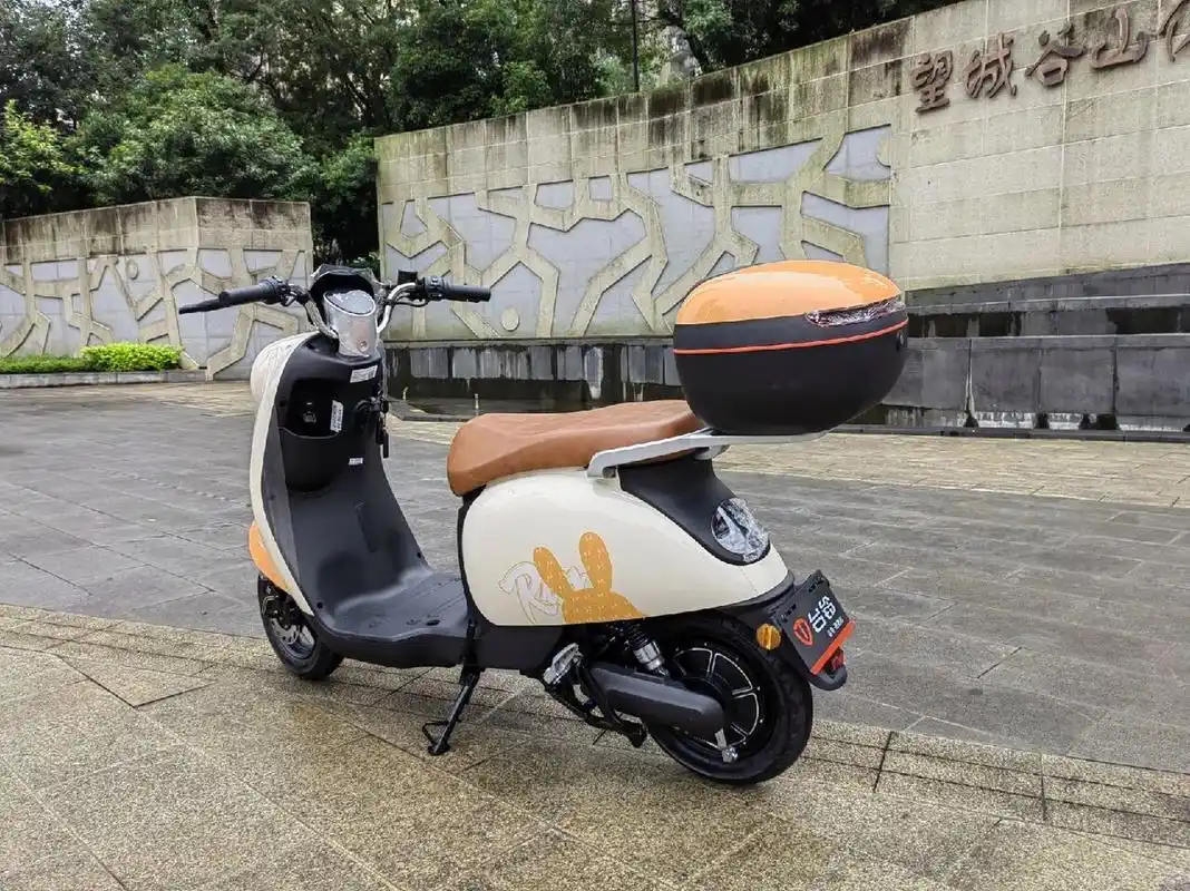 欢迎试驾谷山体育公园 台铃电动车 澳海 龙湖