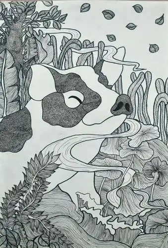 《线条的魅力》