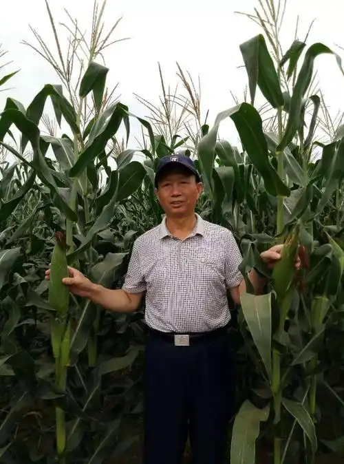 作者简介:武秀清,原籍河北交河县,1976年12月入伍到