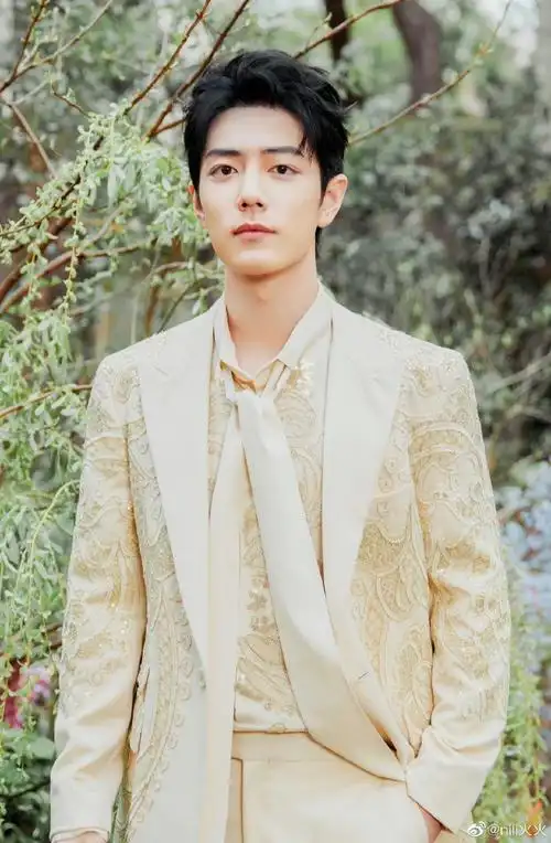 肖战微博之夜#童话里走出来的小王子!这一身也挺90礼服感的!