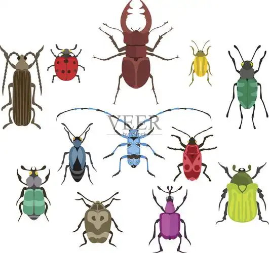 昆虫图标平面孤立矢量插图设计元素图片