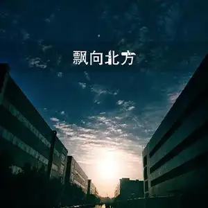 飘向北方钢琴谱邓紫棋f调钢琴弹唱五线谱