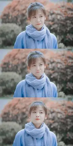 蓬莱间 林夏郑湫泓 cr漫游春野