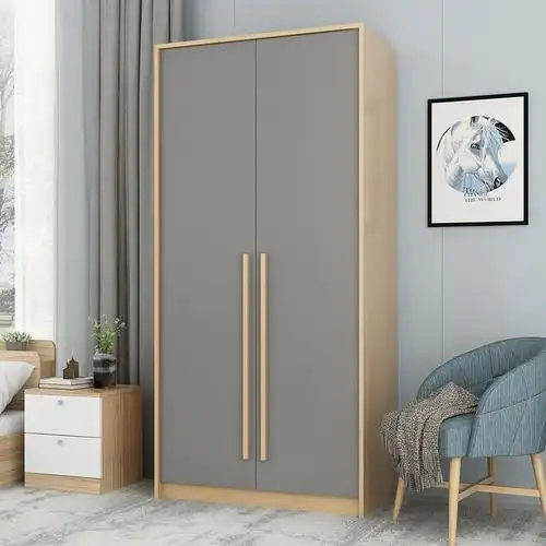 鑫环境2门衣柜两门衣柜北欧风平开门衣柜实木拉手卧室家具衣橱灰色