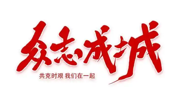 众志成城