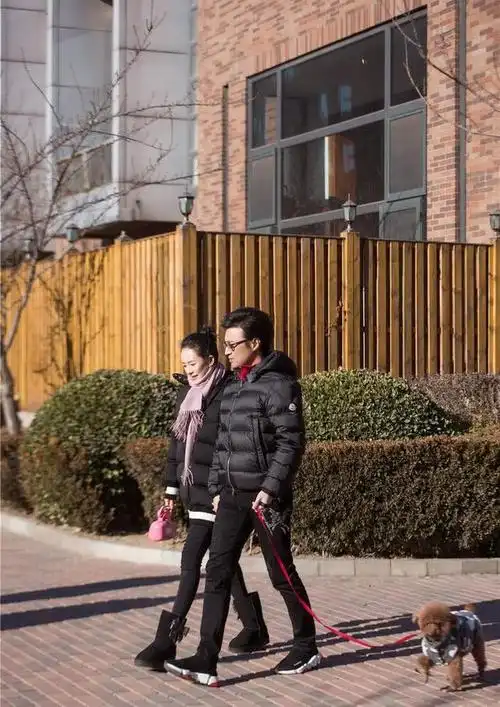 章子怡与汪峰手牵手一起遛狗小鸟依人画面真实自然又美好