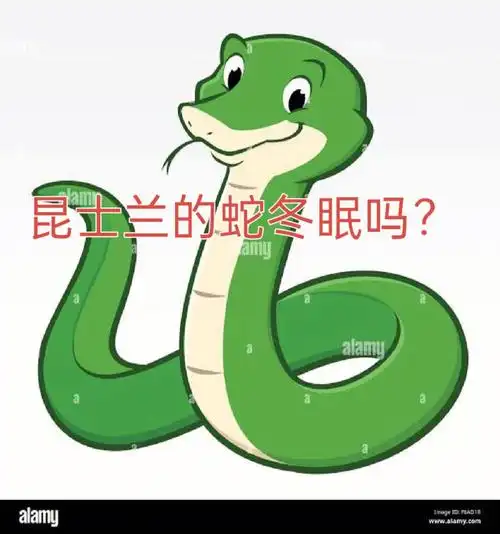 布里斯班除虫|昆士兰的蛇冬眠吗