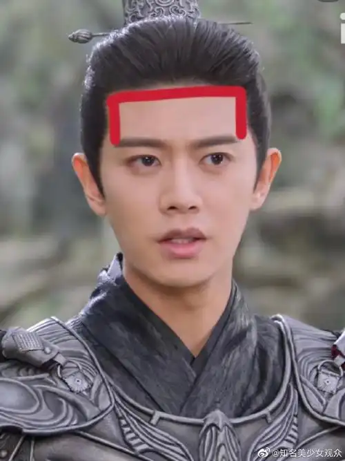 任嘉伦方框发际线##任嘉伦是发量王者