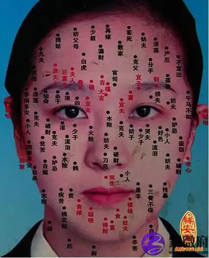 从身上的痣看女人命运