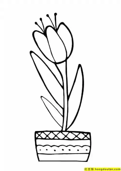 12张郁金香向日葵小雏菊可爱花朵儿童填色简笔画