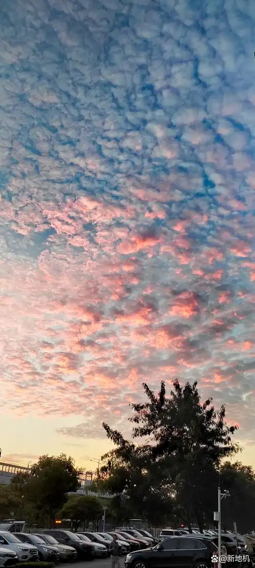 树梢间,淡蓝色的影子与粉色的云朵交相辉映,仿佛置身于一幅油画中