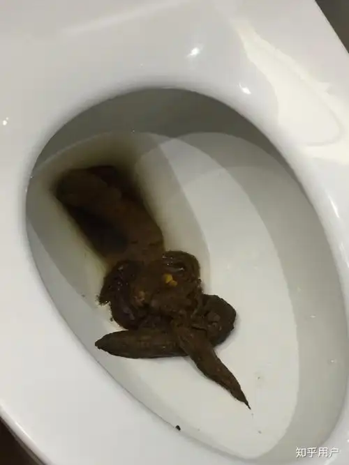 如何拉出一根50cm长的屎?