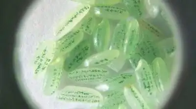 一粒大米上刻出204字   平凉老人陈金元先生今年82岁,自学微雕62年