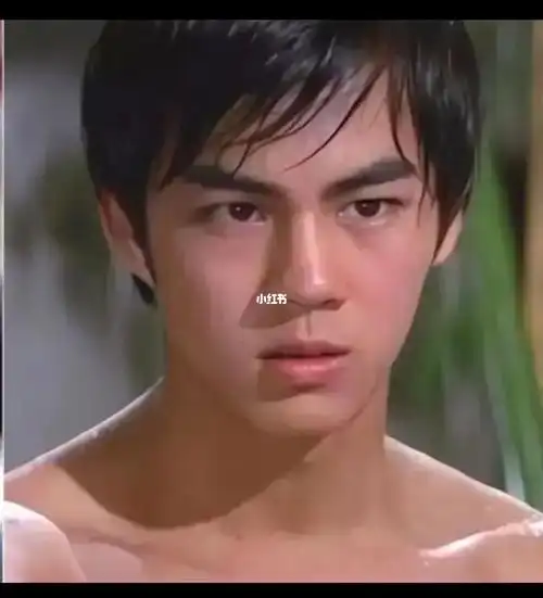 狄龙年轻的时候居然这么帅