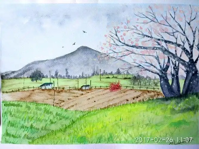 一组有关春天的画