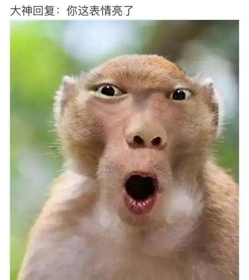 史上最搞笑段子全在这里不笑算我输