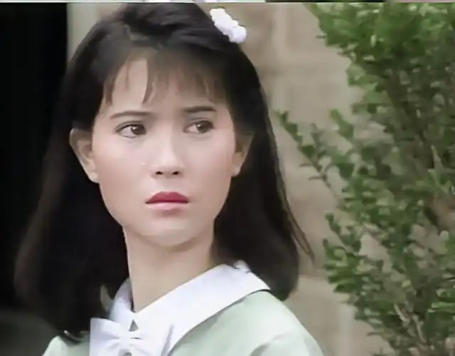 p>蓝洁瑛(1963年4月27日—2018年10月31日),出生于香港,中国香港影视